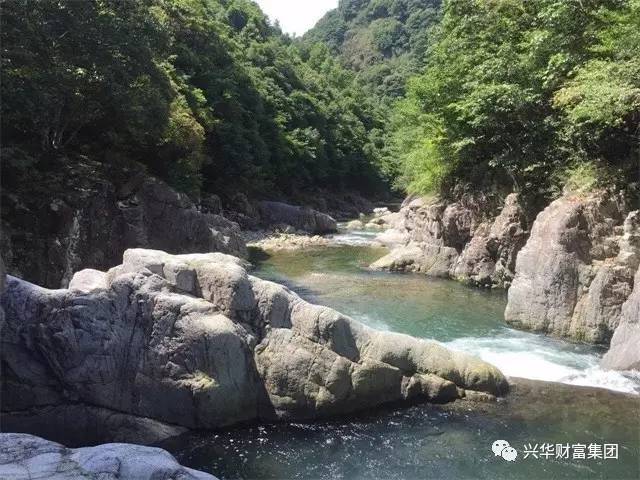 赏金女王