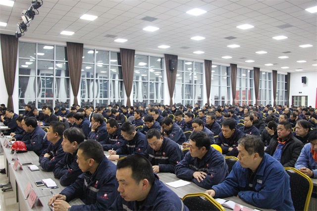 赏金女王