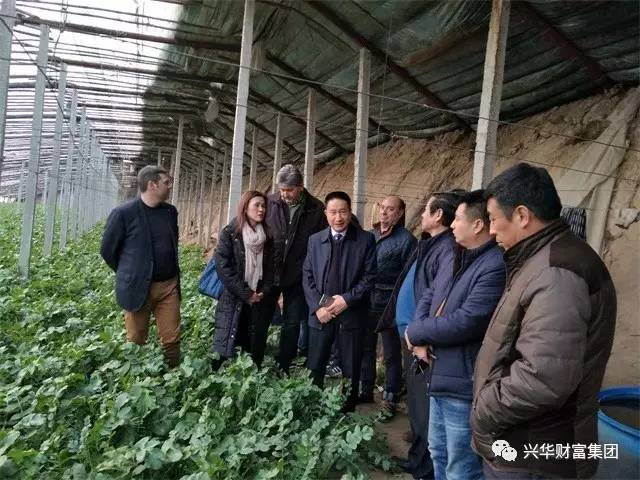 赏金女王