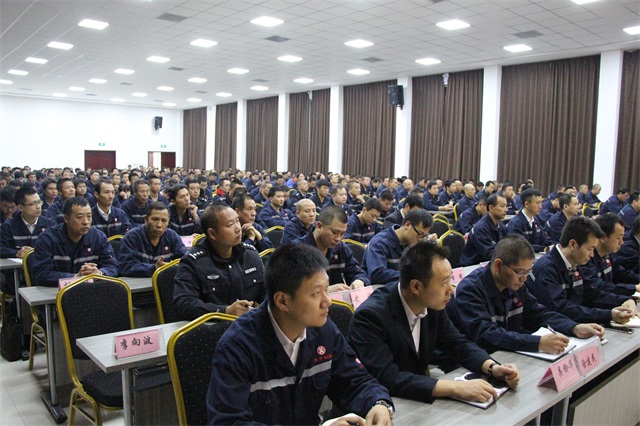 赏金女王