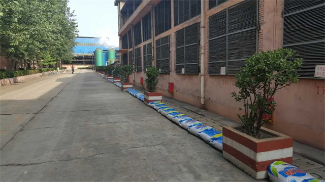 赏金女王