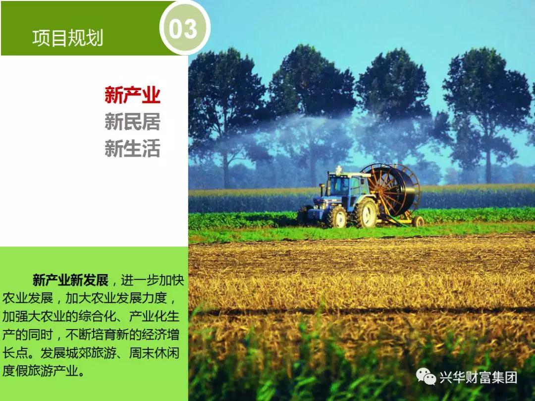 赏金女王