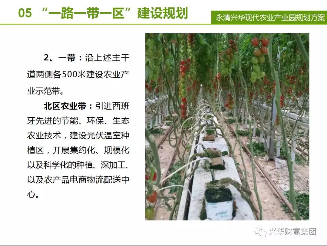 赏金女王