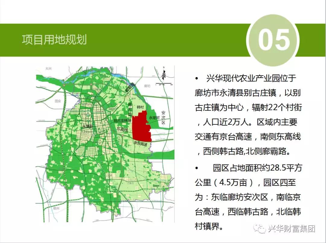 赏金女王